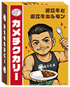 カメチクカリー パッケージ